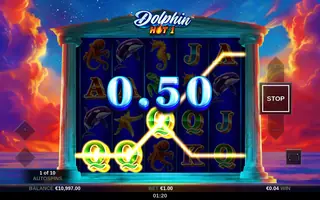 Dolphin Hot 1 – Winning spin