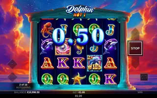 Dolphin Hot 1 – Winning spin