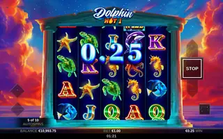 Dolphin Hot 1 – Winning spin