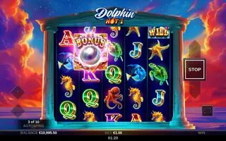 Dolphin Hot 1 – Feature in play