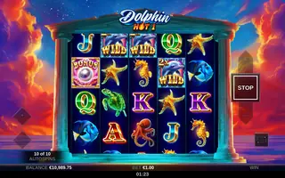 Dolphin Hot 1 – Feature in play