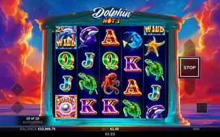 Dolphin Hot 1 – Feature in play