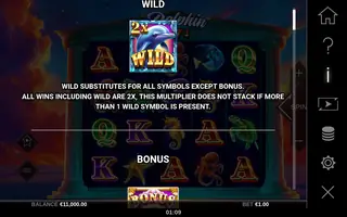 Dolphin Hot 1 – Game rules