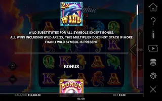 Dolphin Hot 1 – Game rules