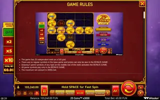 25 Coins x3000 – Game rules