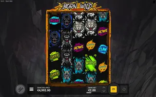 Born Wild EXTREME – Base game