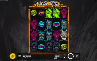Born Wild EXTREME – Base game