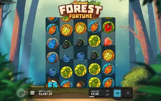 Forest Fortune Extreme – Base game