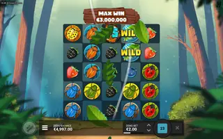 Forest Fortune Extreme – Feature in play