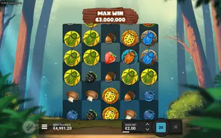 Forest Fortune Extreme – Feature in play