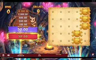 12 Treasures of Captain Meowgan – Bonus round