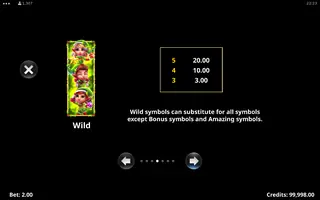 Amazing Link Christmas – Paytable