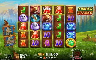 Timber Stacks – Winning spin