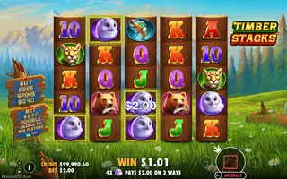 Timber Stacks – Winning spin