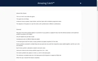 Amazing Catch – Game rules