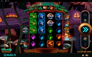 Fire Gnomes – Feature in play