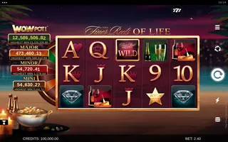 The Finer Reels of Life WOWPOT! – Base game