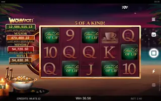The Finer Reels of Life WOWPOT! – Winning spin