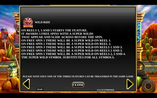 Hell’s Hogs – Game rules