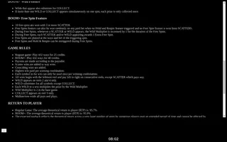 Lady Merlin Lightning Chase – Game rules