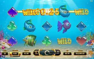 Golden Fish Tank – Winning spin