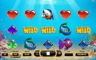 Golden Fish Tank – Feature in play