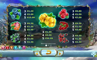 Winterberries – Paytable