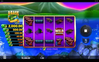 9 Bass – Feature in play