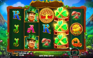 Clover Gold – Feature in play