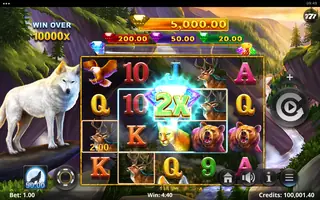 Wolf Call – Winning spin