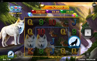 Wolf Call – Free spins