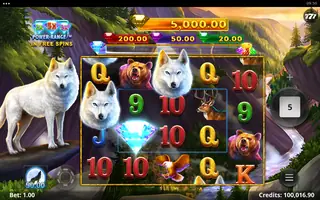 Wolf Call – Free spins