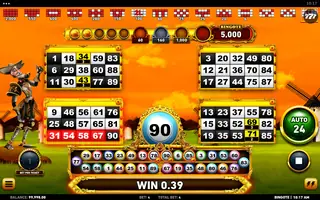 Bingote – Winning spin
