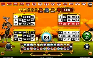 Bingote – Winning spin