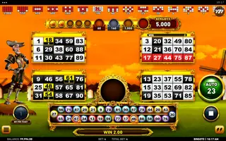Bingote – Winning spin