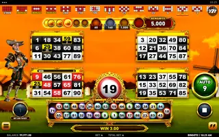 Bingote – Winning spin