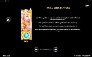 Wild Link Zeus – Game rules