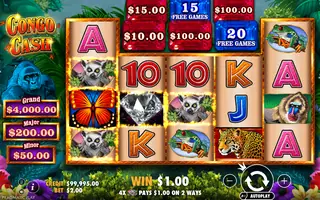Congo Cash – Winning spin