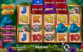Congo Cash – Feature in play