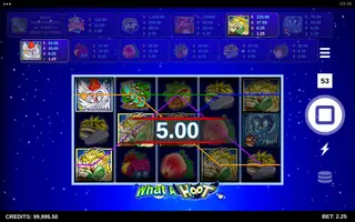 What A Hoot – Winning spin
