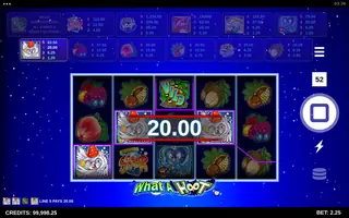 What A Hoot – Winning spin