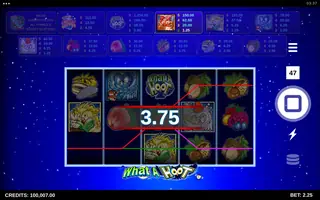 What A Hoot – Winning spin