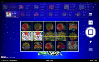 What A Hoot – Winning spin