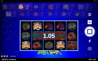 What A Hoot – Winning spin