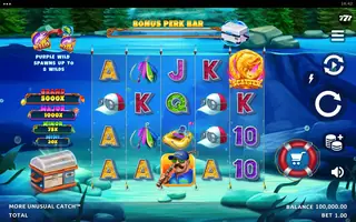 More Unusual Catch – Base game