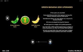 Action Boost Gorilla Gems – Game rules