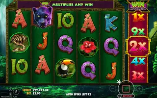 Panther Queen – Feature in play