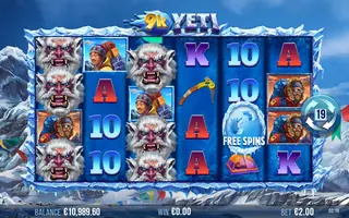 9k Yeti – Feature in play