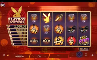 Playboy Fortunes – Base game
