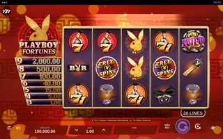 Playboy Fortunes – Base game